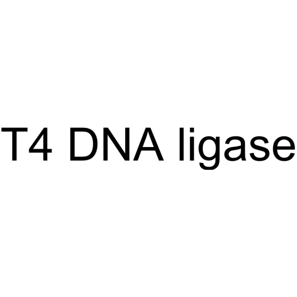T4 DNA ligase 9015-85-4